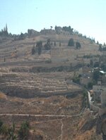 The Mount of Olives