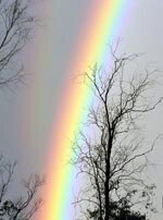 Rainbow by bluemist57, Adelaide, Australia